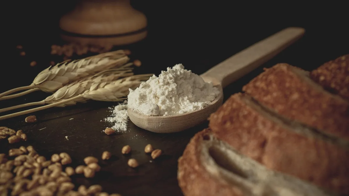 Mąka na drewnianej łyżce, kłosy pszenicy i bochenek chleba: czy gluten szkodzi