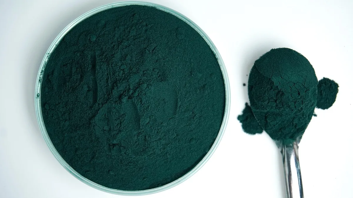 Zielony proszek spiruliny w naczyniu i na łyżce: spirulina właściwości i badania
